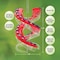 Cascade Hummingbird 23.5 fl. oz. Polypropylene DNA Amethyst Nectar Bird Feeder 32 ports 24980 - alternate 7