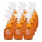 Zep All Purpose Cleaner, Trigger Spray Bottle, 1 qt, Citrus, 12 PK 045501 - alternate 4