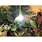 Miracle Led Micro Greens Starter Grow Light Kit, Wide Angle Full Spectrum, 2PK 803401 - alternate 3