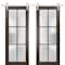 Sartodoors Sturdy Double Barn Door with Frosted Glass Planum 2122 60x96 (2* 30x96) Solid Core Modern Interior PLANUM2122DB-S-CA-60 x 96 (2* 30x96) - alternate 1