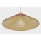 Hudson Valley Lighting Clivedon 20 in. Pendant in Aged Brass/Soft Crimson by Mark D. Sikes MDS1402-AGB/CRN - alternate 4