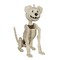 Seasons Usa 17 in. Pumpkin Head Dog Halloween Decor W84565 - alternate 1