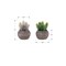 Monarch Specialties Artificial Plant, 8-in. Tall, Succulent, Table, Brown Cement Pots, Contemporary, Modern, 2PK I 9364 - alternate 2