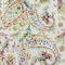 Homeroots 5' X 8' Ivory Fern Green And Artichoke Green Paisley Washable Indoor Outdoor Area Rug 588619 - alternate 7