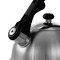 Mr Coffee Mr. Coffee Claredale 2.2 Quart Brushed Stainless Steel Whistling Tea Kettle with Nylon Handle 108075.01 - alternate 5