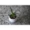Apollo Tile Gray 11.8 in x 11.8 in Glass Glossy Floor and Wall Mosaic Tile 4.83 sqft/case, 5PK APLGEM8812A - alternate 5