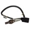 Motorcraft Oxygen Sensor,  DY1176 - alternate 2