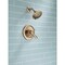 Delta Lahara Monitor 17 Series Shower Trim T17238-CZ - alternate 5
