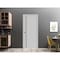 Sartodoors Slab Barn Door Panel, Planum 0016 Matte Grey and Aluminum Strips, Sturdy Finished Flush Modern Door PLANUM0016S-GRE-28 - alternate 4