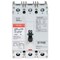 Eaton Molded Case Breakers (MCCBs) FD3125BP10 - alternate 1