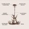 Jonathan Y Nelle 18" Adjustable Resin Antler 3-Light LED Chandelier, Brown JYL6304A - alternate 9
