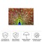 Trademark Fine Art Outdoor Canvas Art - Michael 'Peacock' Wall Art for Patios, or Gardens 1X19486-OC2232WR - alternate 6