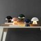Jonathan Y Porcini 7" Contemporary Bohemian Rechargeable/Cordless Iron Integrated Portable LED Mushroom Table L JYL7116E - alternate 9