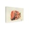 Trademark Fine Art Outdoor Canvas Art Anika Goodhue 'Sleeping Fox' Wall Art for Patios, or Gardens ALI72349-OC2232WR - alternate 6