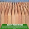 Farm Plastic Supply 4 Foot Wooden Stakes - 25 Per Bundle, Wooden Garden and Sign Posts, Silt Fence, Tomato Stakes Z-4FootStakes-4003 - alternate 5