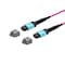 Monoprice MM OM4 OFC  MTP-16 Elite UPC (F) to MTP-16 Elite UPC (F) 16-Fiber OFNP Type B Magent 10m 48212 - alternate 1
