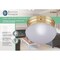 Boston Harbor Single Light Round Ceiling Fixture, 120 V, 60 W, 1-Lamp, A19 or CFL Lamp F13BB01-68623L - alternate 2