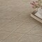 Homeroots 4' X 6' Natural And Light Brown Geometric Indoor Outdoor Area Rug 552715 - alternate 5