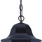 Homeroots Antique Bronze Geometric Glass Hanging Light 397989 - alternate 3