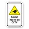 Signmission Smile! Youre On CCTV, Heavy-Gauge Aluminum Rust Proof Parking Sign, 18" H, A-1824-24727 A-1824-24727 - alternate 1