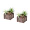 Monarch Specialties Artificial Plant, 10-in. Tall, Succulent, Table, Brown Wooden Pots, Contemporary, Modern, 2PK I 9371 - alternate 1