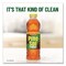 Pine-Sol Multi-Surface Cleaner Disinfectant Concentrated, Pine Scent, 14 oz Bottle 60146EA - alternate 9