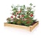 Greenes 5.5 in. H X 48 in. W Cedar Raised Bed Planter Brown RC4S4B - alternate 5