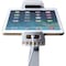 Cta Digital 2-in-1 Kitchen Mount/Stand for Tablets PAD-KMS - alternate 26