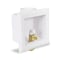 Everflow Icemaker Outlet Box W/ Valves; 1/2'' Push-Fit; White ABS (Single) SB100-U - alternate 1