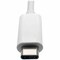 Tripp Lite USB C TO DVI MULTIPORT VIDEO ADAPTER CONVERTER 1080P W/ USB-A HUB, USB-C PD CHAR U444-06N-DGU-C - alternate 8