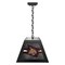 Holland Bar Stool Texas State University Pendant Box Light BxLM1 - alternate 1