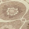 Homeroots 3' X 5' Taupe Brown And Ivory Medallion Washable Indoor Outdoor Area Rug 589650 - alternate 5