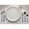 Mepra Fantasia Flatware Set - 5 Pieces - Lavender 10D722005 - alternate 4