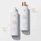 Dove Anti-Frizz and Smooth Shampoo, 12 Fluid Ounce, 6PK 64352122 - alternate 4