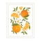 Homeroots Citrus Orange Botanical White Framed Print Wall Art 529841 - alternate 1