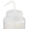 Nalgene Wash Bottle, Plastic, Colorless, PK12 2407-1000 - alternate 3