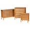 Baxton Studio Jenn Golden Brown Wood Japandi 3-Piece Storage Set with Distressed-Finished Rattan 253-13946-13947-13948-ZORO - alternate 1