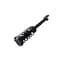 Fcs Struts Suspension Strut And Coil Spring Assembly 1355085 - alternate 3