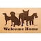 Floortex Door Mat, Nylon Fibres, 0.2 in Thick, Brown, 24 in W x 39 in L FR4WD2439BG - alternate 1