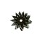 Cnh FAN, CNH OEM 327397A1 327397A1 - alternate 3