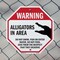 Signmission Warning Alligators in Area Do Not S, 6 Inch X 6 Inch, Plastic Sign OC-P-6-339 - alternate 5