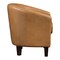 Osp Home Furnishings Ethan Tub Chair, Camel ETN-PD25 - alternate 5