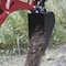 Nortrac Trencher 10-in. Bucket Attachment, Fits Towable Trencher 98562 - alternate 5