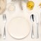 Smarty Had A Party Shiny Metallic Silver Plastic Spoons (600 Spoons), 600PK 7959S-CASE - alternate 6