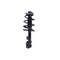 Fcs Struts Suspension Strut And Coil Spring Assembly 1334099L - alternate 4