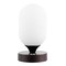 Jonathan Y Eli 8" Modern Minimalist Iron Rechargeable Integrated Portable LED Table Lamp, Oil Rubbed Bronze/Whit JYL7111A - alternate 7
