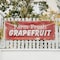 Signmission Farm Fresh Grapefruit, 24 Inch x 72 Inch, Vinyl Banner B-72-30593 - alternate 4