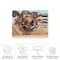 Trademark Fine Art Outdoor Canvas Art - Ralph Meznar 'Bull Ride' Wall Art for Patios, or Gardens 1X11289-OC1824WR - alternate 5