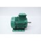 Leroy Somer MOTOR 56T 1/2HP 1735RPM 5/8IN 460V-AC 3PH 988226-LA001 - alternate 3