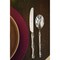 Mepra Bali Flatware Set - 20 Pieces - Mirror 101522020 - alternate 4